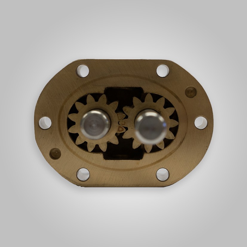 Pump Gears