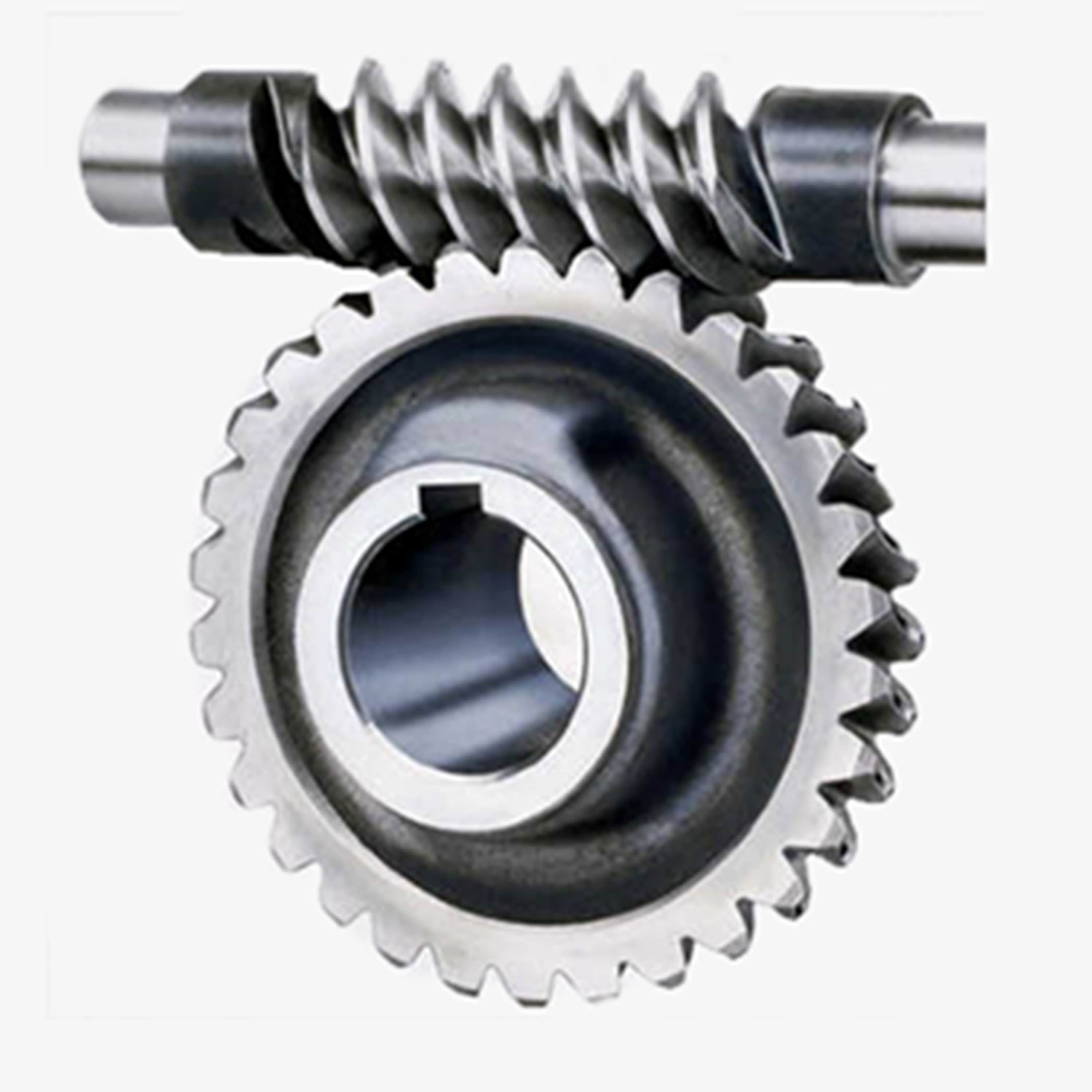 Worm Gear