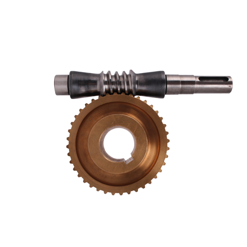 Worm Gear